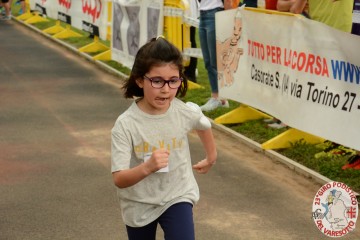 DSC_1290.jpg