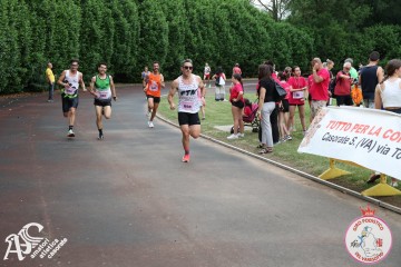 IMG_3847.jpg