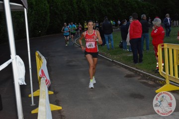 DSC_1993.jpg