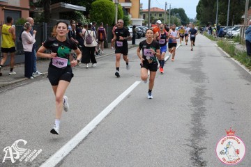 IMG_5926.jpg