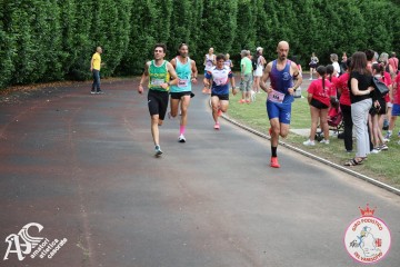 IMG_3881.jpg