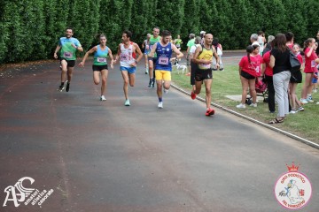 IMG_3900.jpg