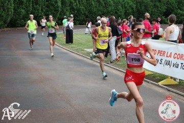 IMG_3906.jpg