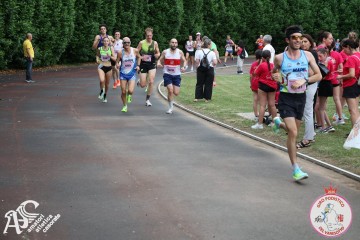 IMG_3916.jpg