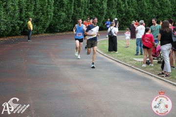 IMG_3986.jpg