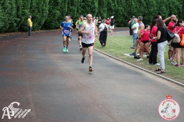 IMG_4118.jpg