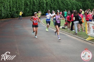 IMG_4153.jpg