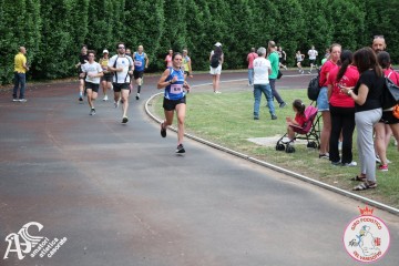 IMG_4162.jpg