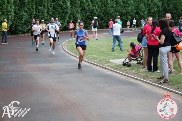 IMG_4163.jpg