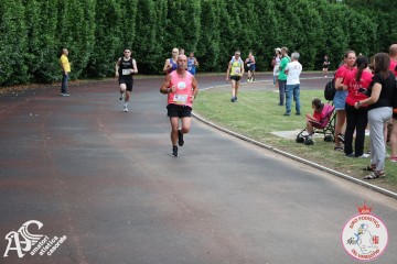 IMG_4173.jpg