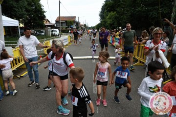 IMG_6330.jpg