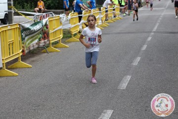 IMG_6376.jpg