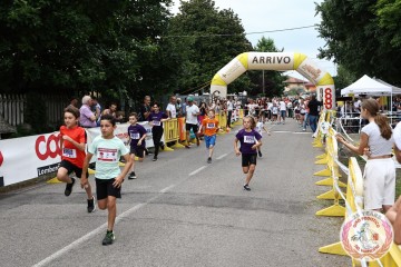 IMG_6404.jpg