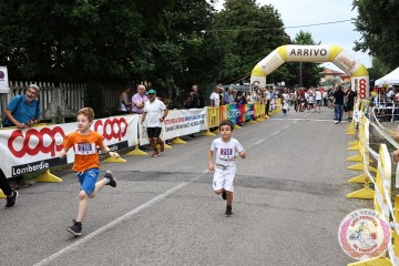 IMG_6410.jpg