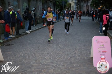 IMG_0887.jpg