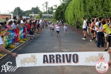 IMG_3162.jpg