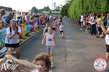 IMG_3175.jpg