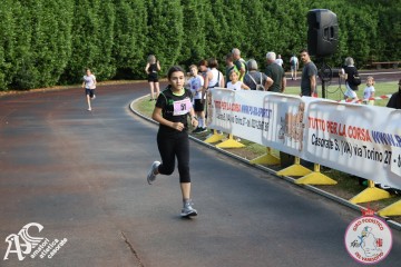 IMG_3245.jpg