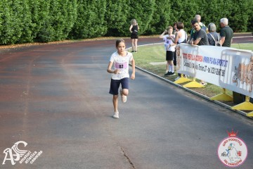 IMG_3248.jpg