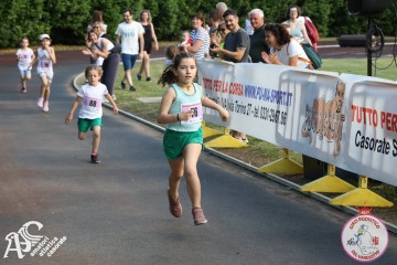 IMG_3253.jpg