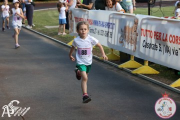 IMG_3255.jpg