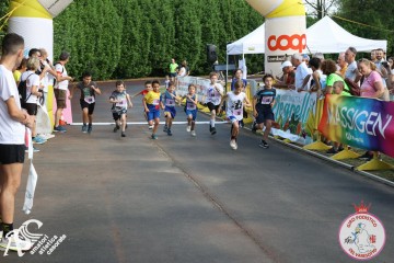 IMG_3295.jpg
