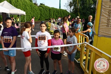 IMG_1446.jpg