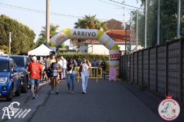 IMG_1175.jpg