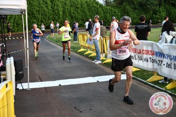 IMG_2594.jpg