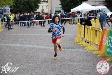 IMG_0073.jpg