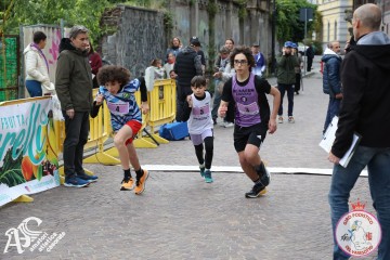 IMG_0080.jpg