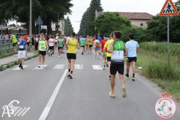 IMG_3338.jpg