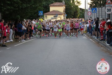 IMG_1646.jpg