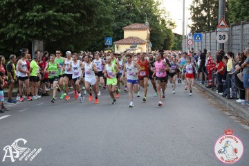IMG_1651.jpg