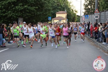 IMG_1652.jpg