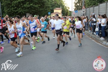 IMG_1729.jpg