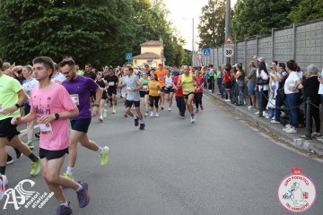 IMG_1785.jpg
