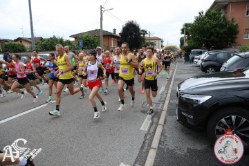 IMG_5395.jpg