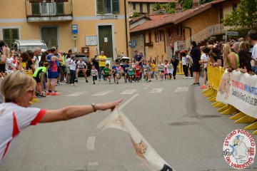DSC_3546.jpg