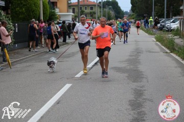 IMG_6020.jpg