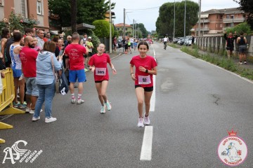 IMG_4950.jpg