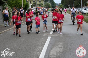 IMG_4968.jpg