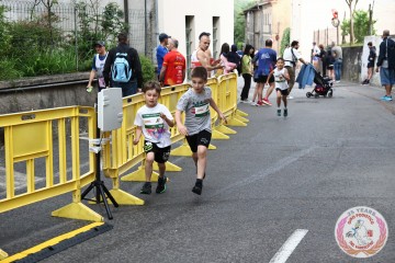 IMG_0507.jpg