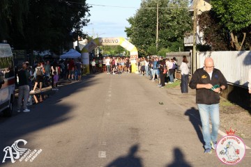 IMG_6942.jpg
