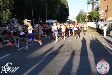 IMG_6975.jpg