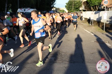 IMG_7133.jpg