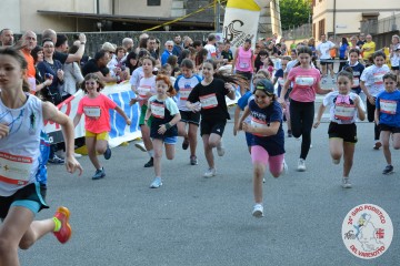 DSC_2508.jpg