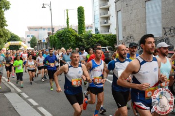 DSC_8381.jpg