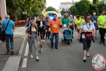 DSC_8458.jpg