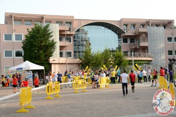 DSC_7977.jpg